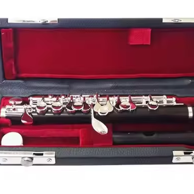 Musical Instrument Piccolo - Пикколо из черного дерева с посеребренным