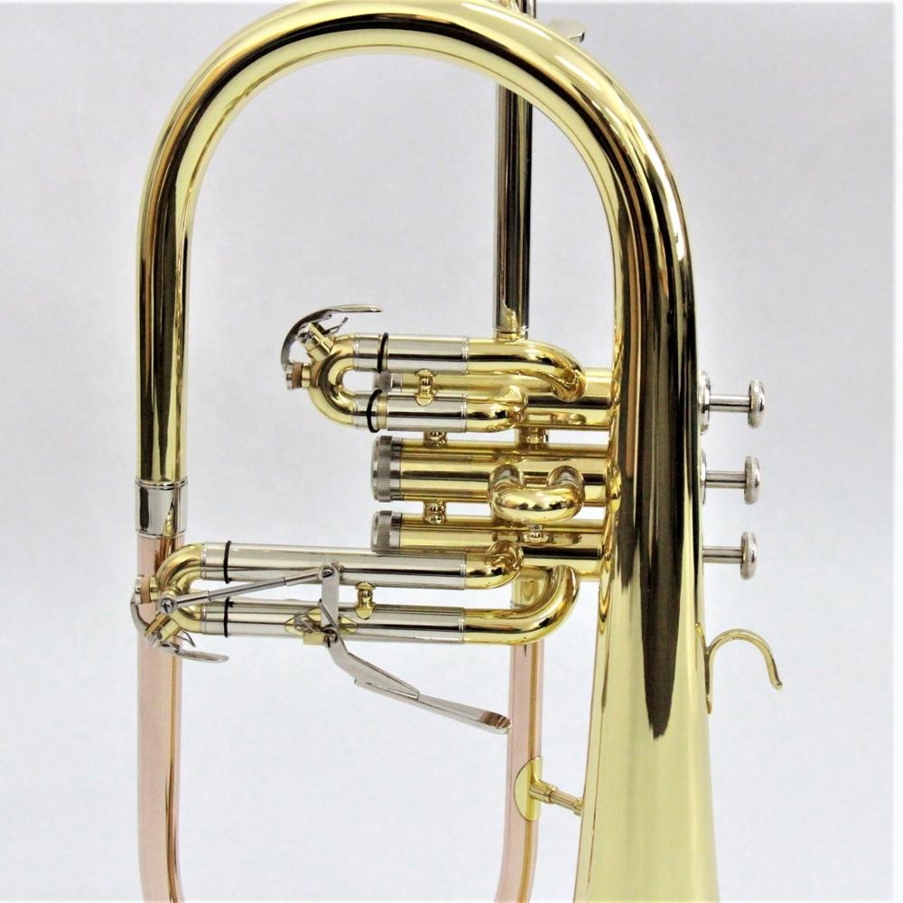 Профессиональная модель Flugel – обзор и цена Musical Instrument Online