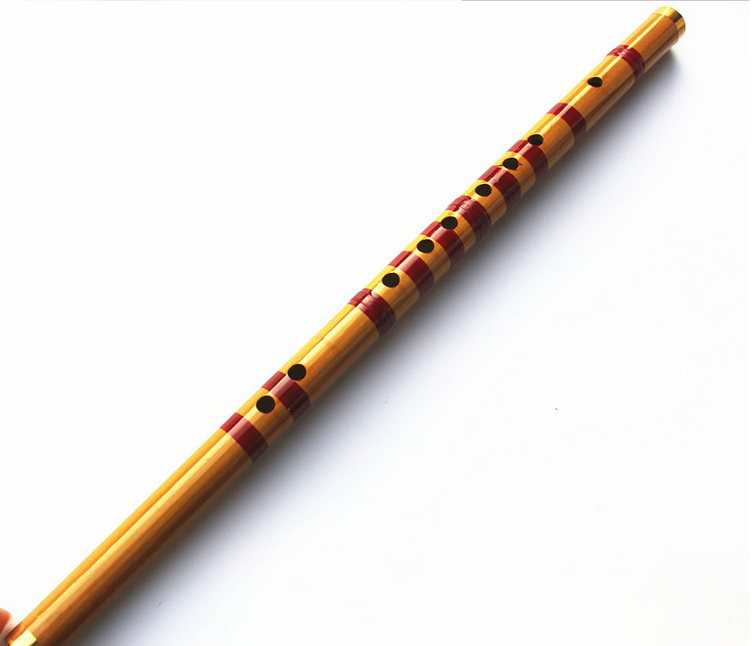 Дети учатся хорошо разработанн – обзор и цена Musical Instrument Piccolo