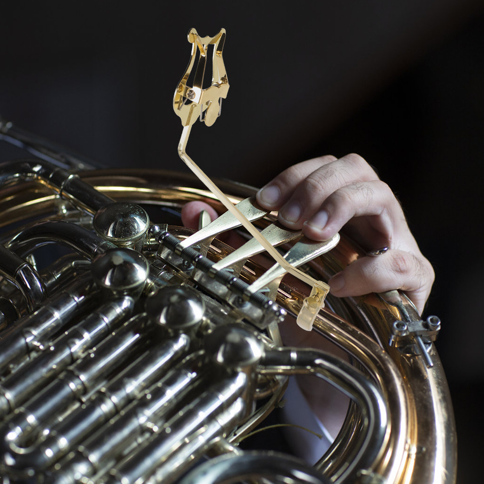 Французский валторн, маршевая  – обзор и цена Musical Instrument Lyre
